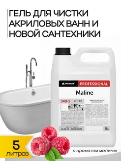 Гель для чистки акриловых ванн Maline (Малинэ) Pro-Brite 154158769 купить за 1 060 ₽ в интернет-магазине Wildberries