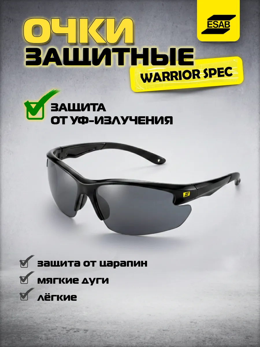 Очки защитные Warrior Spec затемненные