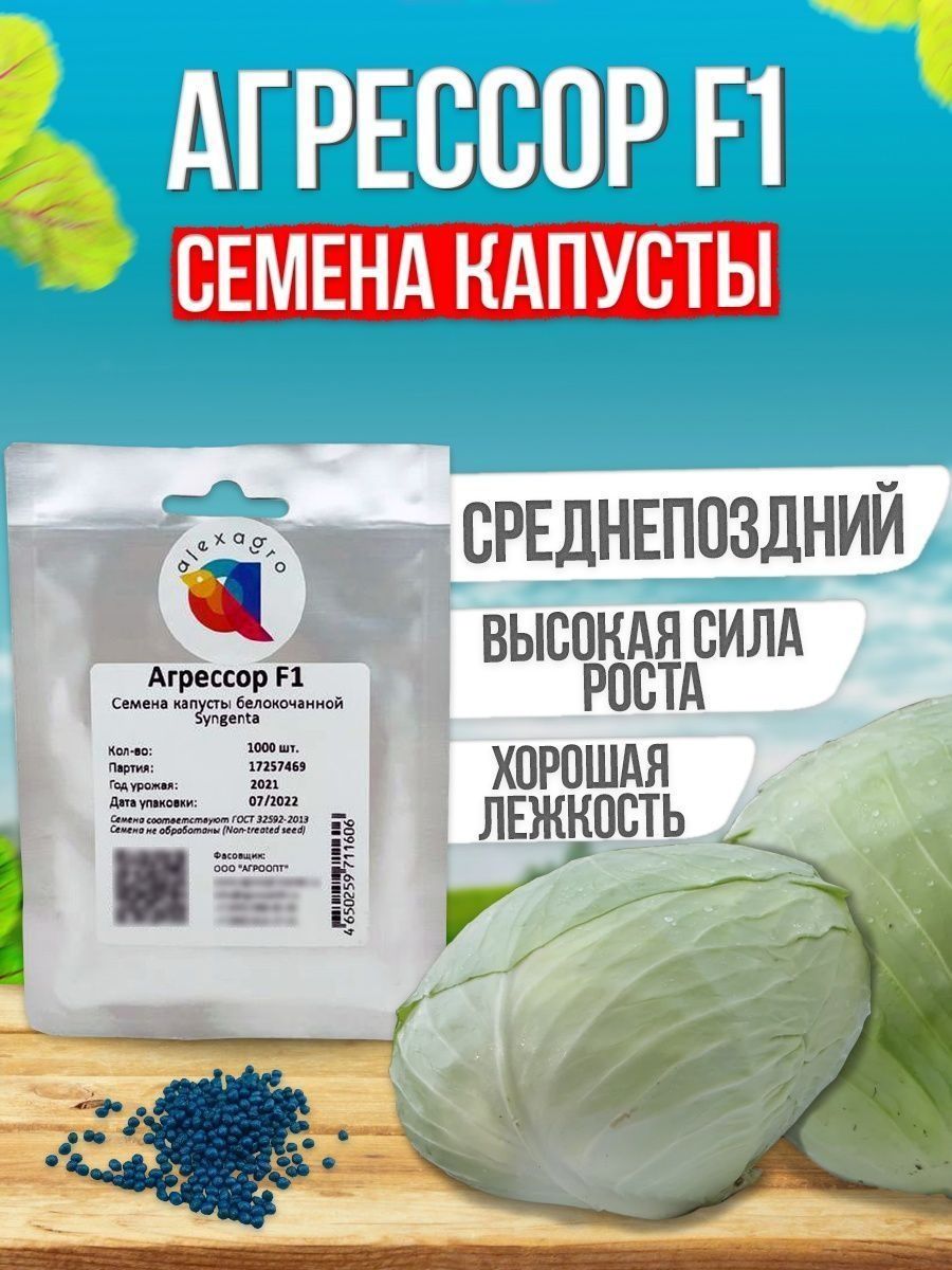 Капуста агрессор f1 описание. Капуста Агрессор. Капуста Агрессор f1. Капуста Агрессор описание.