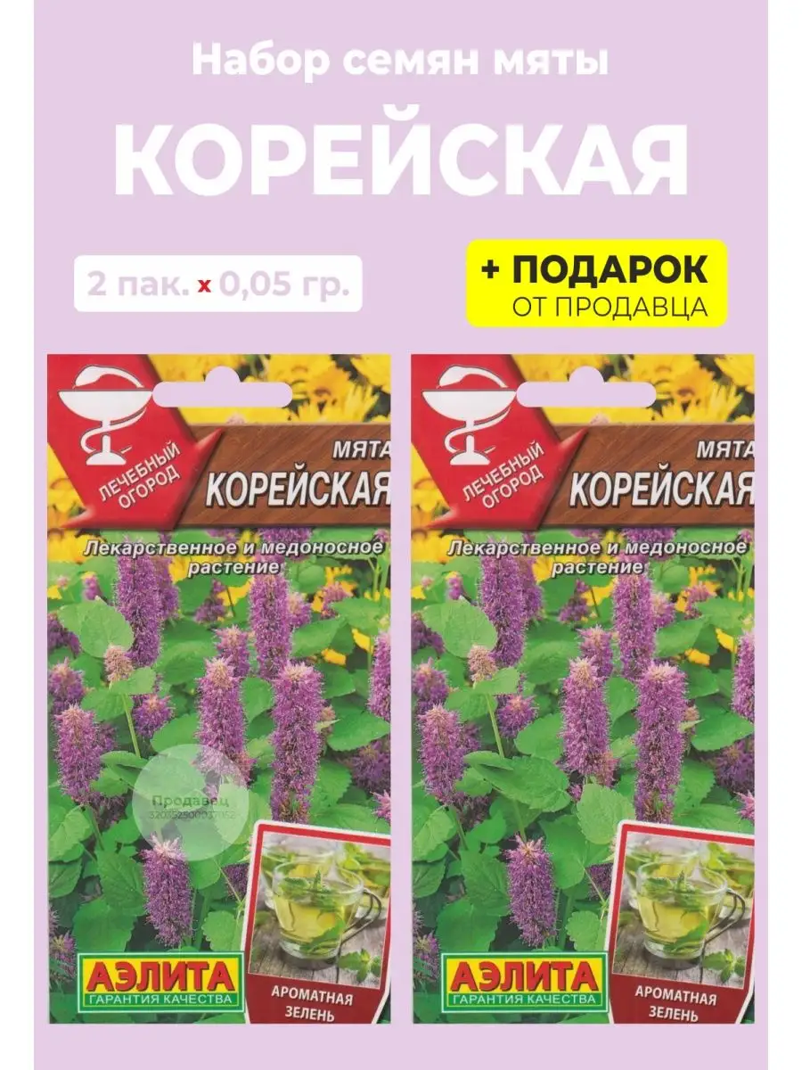 Семена мята "Корейская"