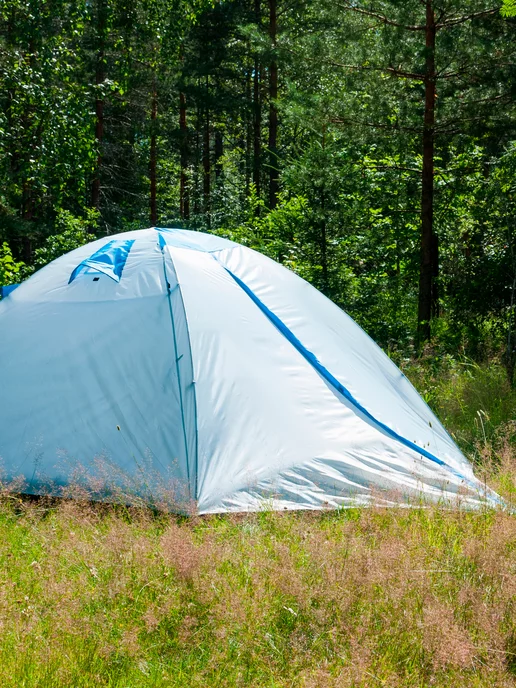 Greenhouse Палатка туристическая FCT-52, пятиместная, вариант, фото 2