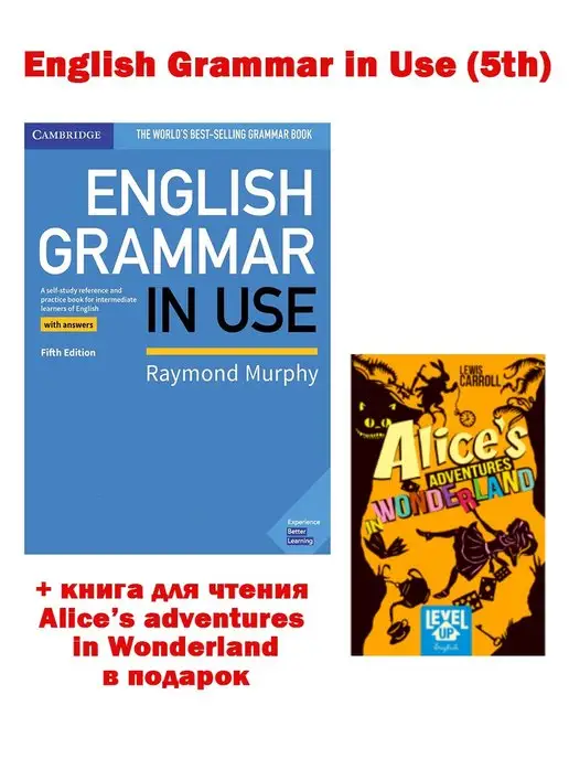 english grammar in use raymond murphy