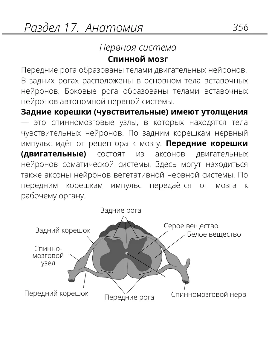 Карманный справочник ЕГЭ Алёны Бриз. Шпаргалка биология 2024 Онлайн школа  Breeze 154391466 купить за 1 088 ₽ в интернет-магазине Wildberries