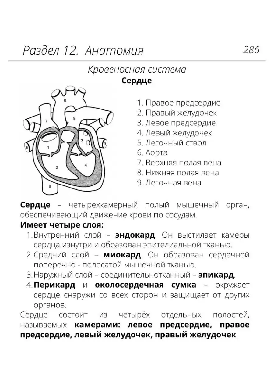 Карманный справочник ОГЭ от Алёны Бриз. Шпаргалка биология Онлайн школа  Breeze 154391598 купить в интернет-магазине Wildberries