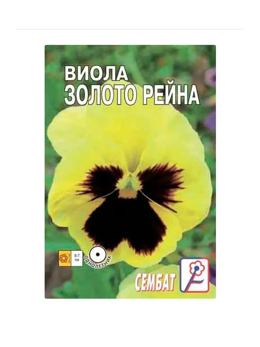 Семена Виолы Купить В Интернет Магазине
