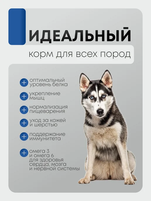 Сухой корм SIRIUS Повышенной Активностью для собак, мясо, 2 кг, фото 6