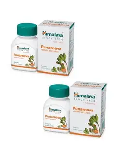 Пунарнава Для нормализации работы почек и сердца 2х60 таб Himalaya Herbals 154549404 купить за 892 ₽ в интернет-магазине Wildberries