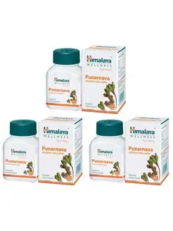 Пунарнава Для нормализации работы почек и сердца 3х60 таб Himalaya Herbals 154549543 купить за 1 264 ₽ в интернет-магазине Wildberries