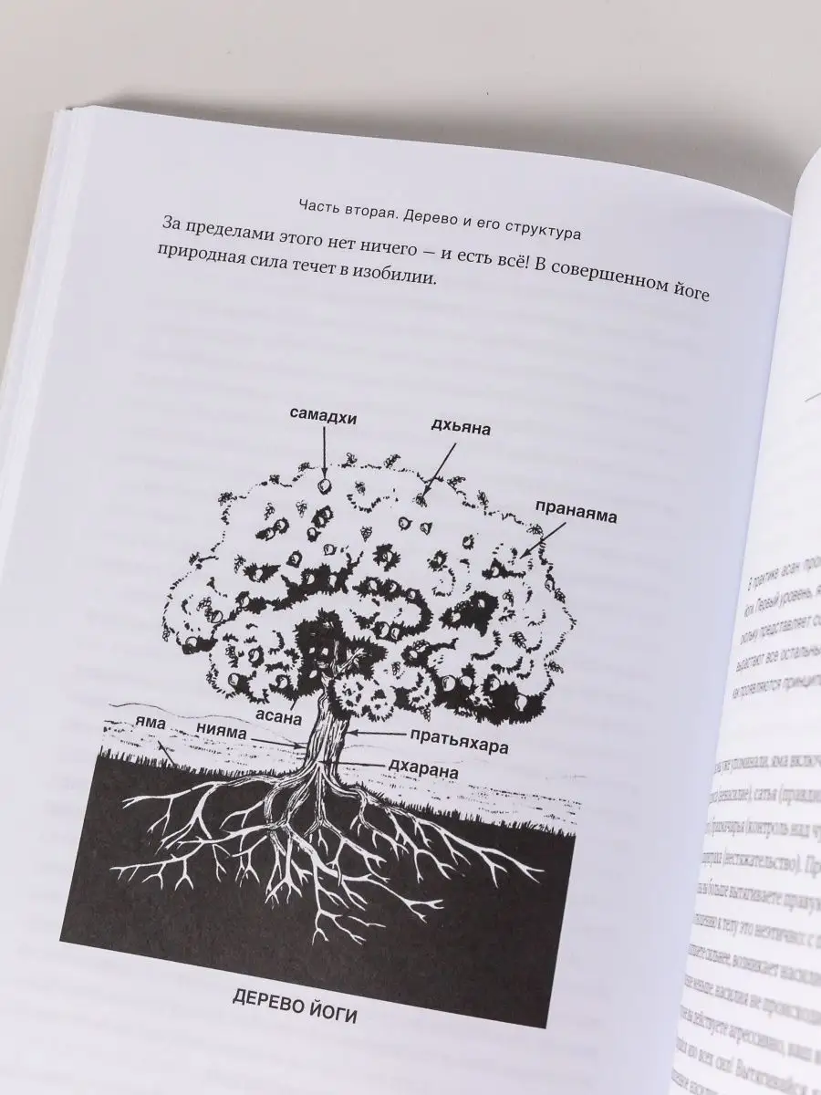 Дерево йоги: Ежедневная практика Альпина. Книги 154568516 купить за 1 023 ₽  в интернет-магазине Wildberries