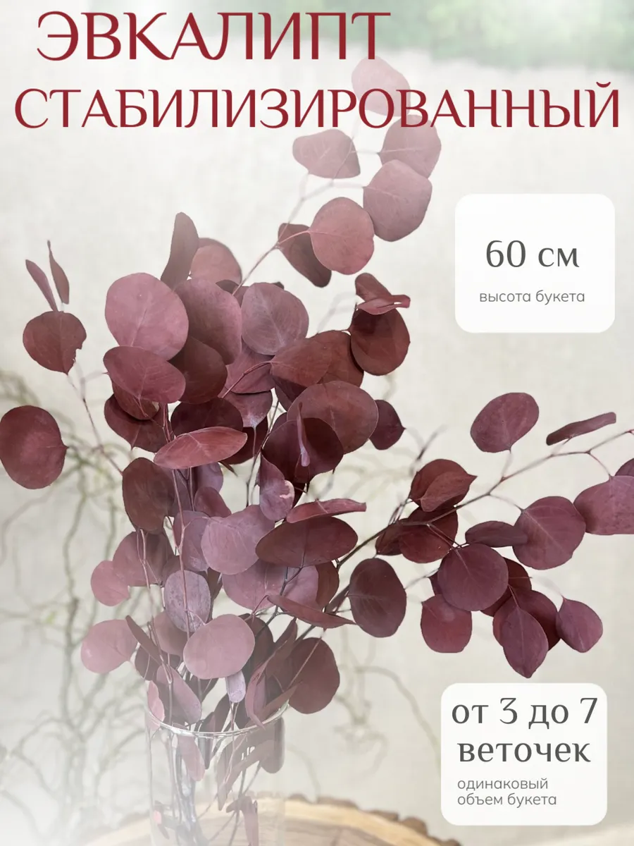 Эвкалипт вечной свежести стабилизированный декор