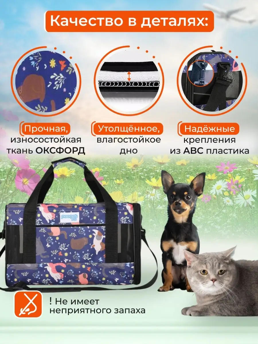 Как выбрать рюкзак-переноску для кошек | Hill’s