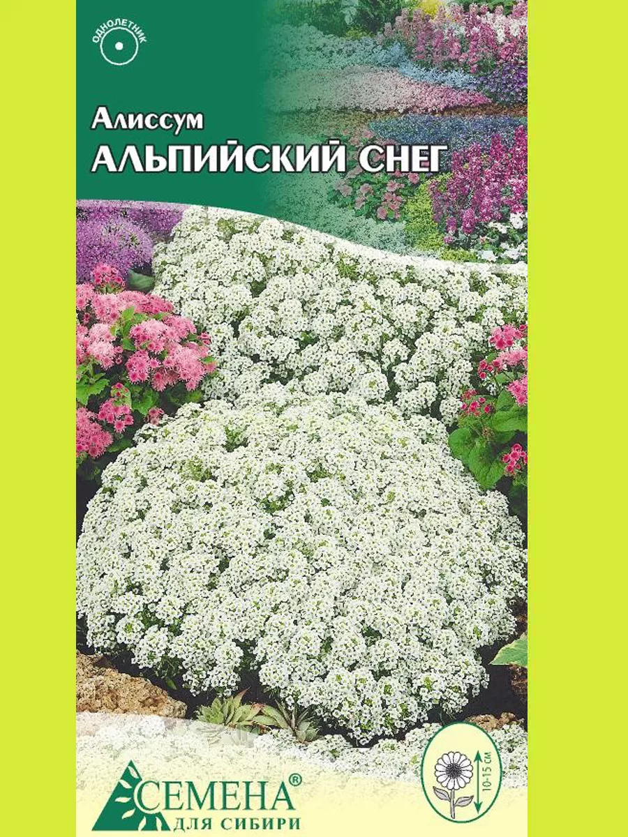 Однолетние цветы Алиссум ампельный 2 шт. Банк-Семян 154671018 купить в  интернет-магазине Wildberries