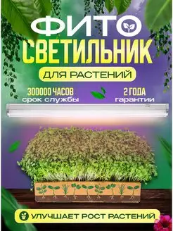 Фитосветильник для растений 154671575 купить за 537 ₽ в интернет-магазине Wildberries