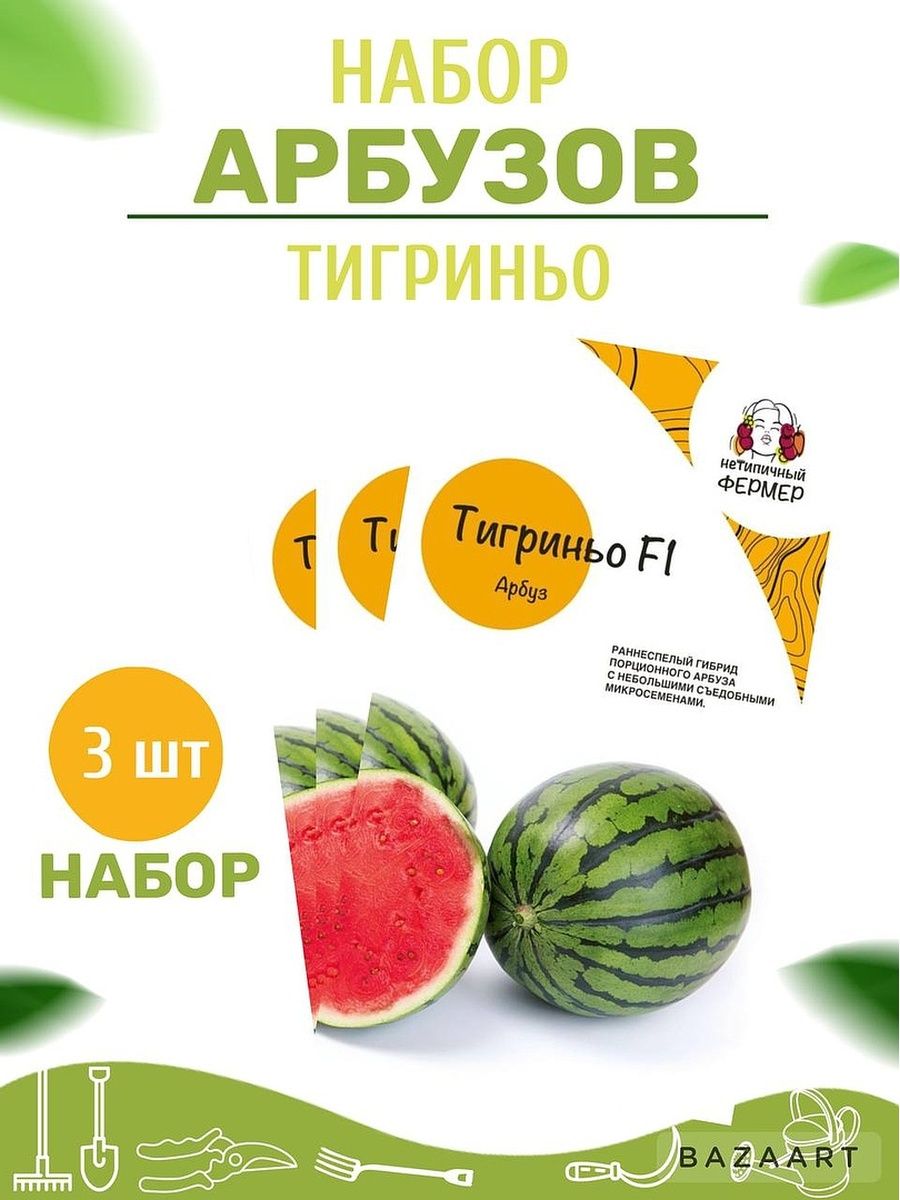 Тигриньо арбуз