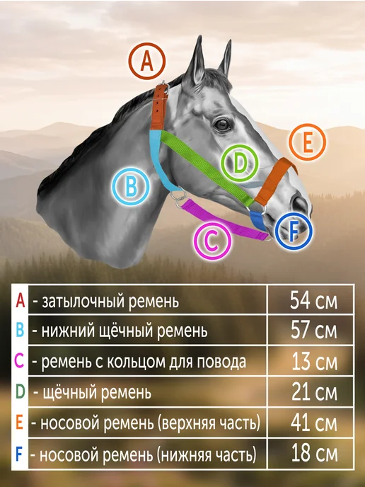REITER Недоуздок для лошади капроновый 25 мм, черный, фото 2
