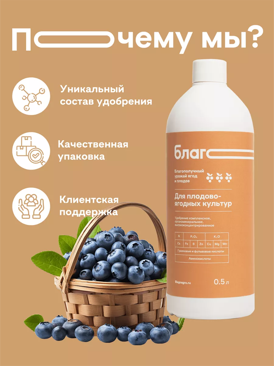 Сайт компаний благо Сайт компаний благо