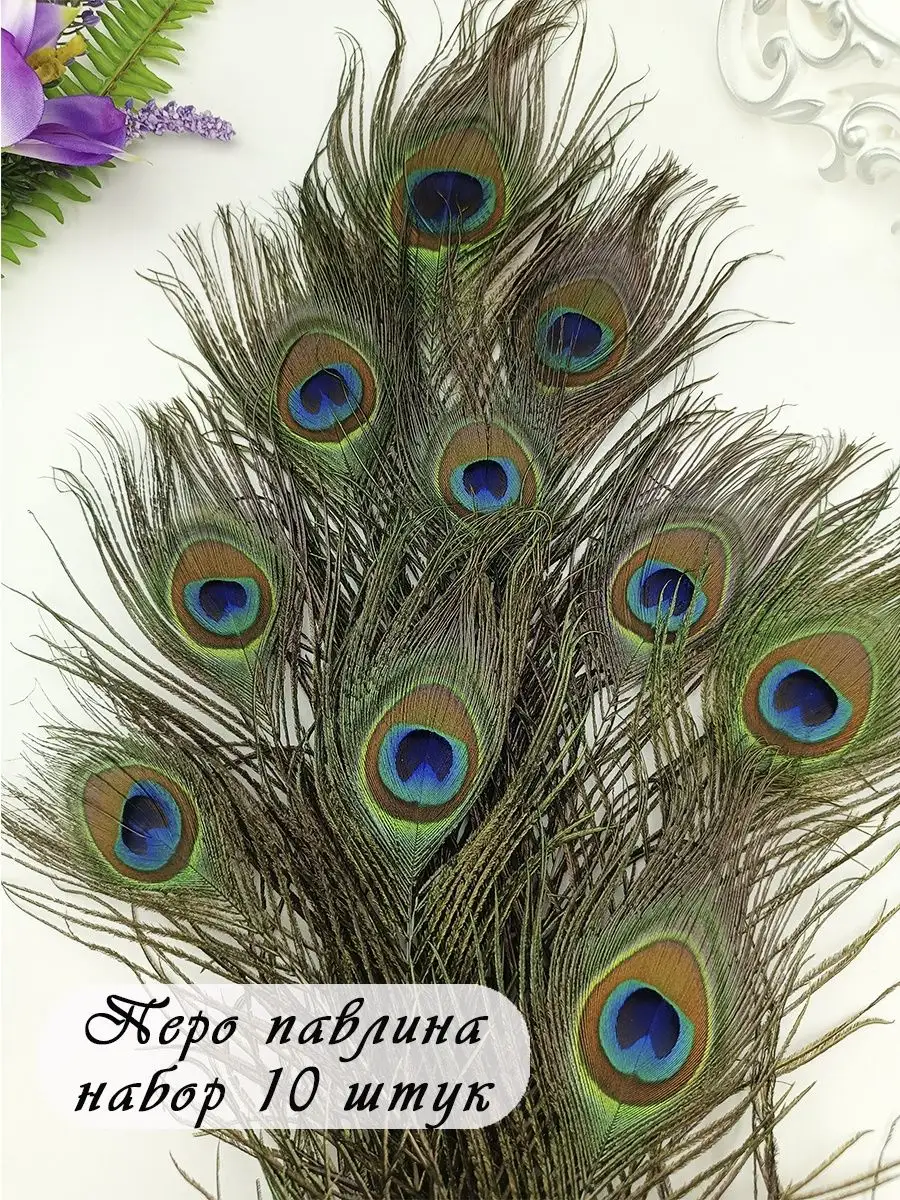 Перья Павлина Veniard Peacock Blue Neck