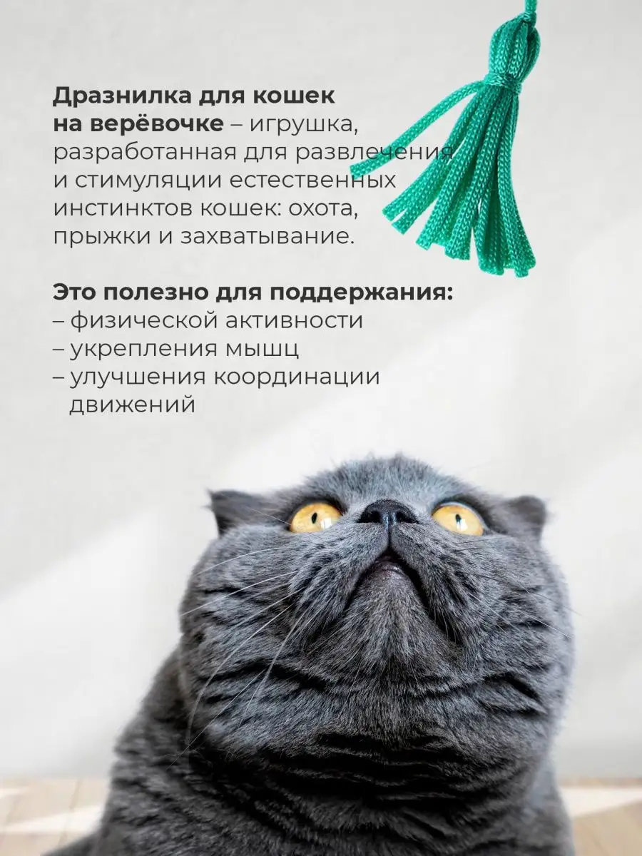 Дразнилка игрушка удочка для кошек, кота, котов, котят Мега Тойс 154789175  купить за 240 ₽ в интернет-магазине Wildberries