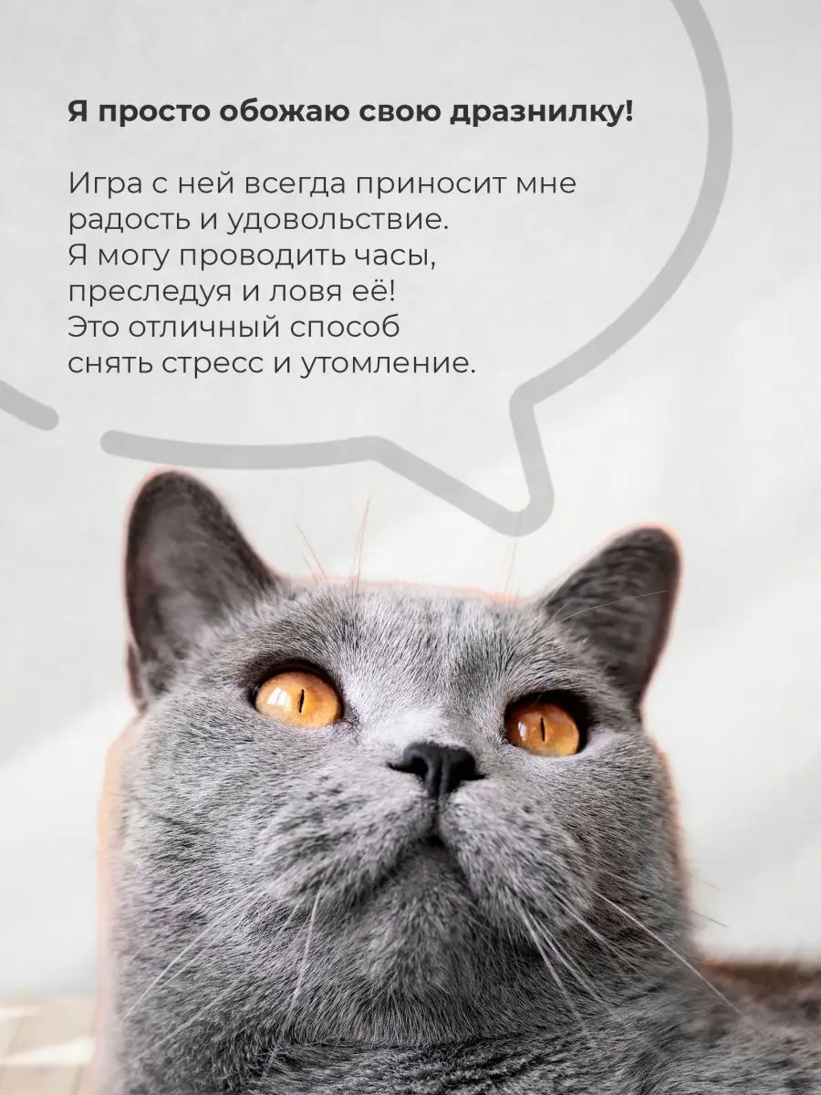 Дразнилка игрушка удочка для кошек, кота, котов, котят Мега Тойс 154789175  купить за 240 ₽ в интернет-магазине Wildberries