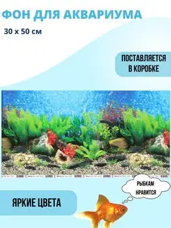 Фон для аквариума 30х50см 154789943 купить за 179 ₽ в интернет-магазине Wildberries