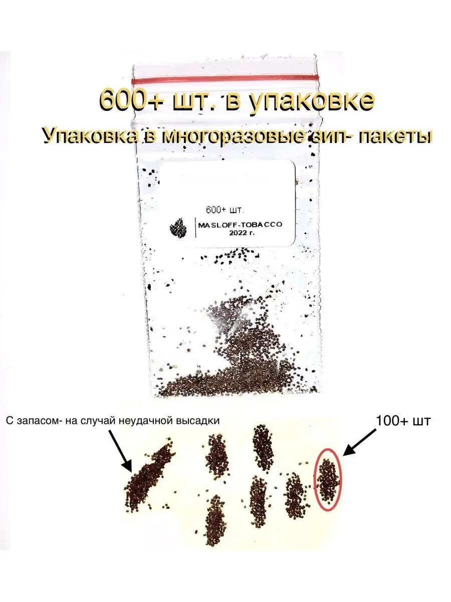 Семена табака Герцеговина Флор Masloff-tobacco 154837299 купить за 162 ₽ в  интернет-магазине Wildberries