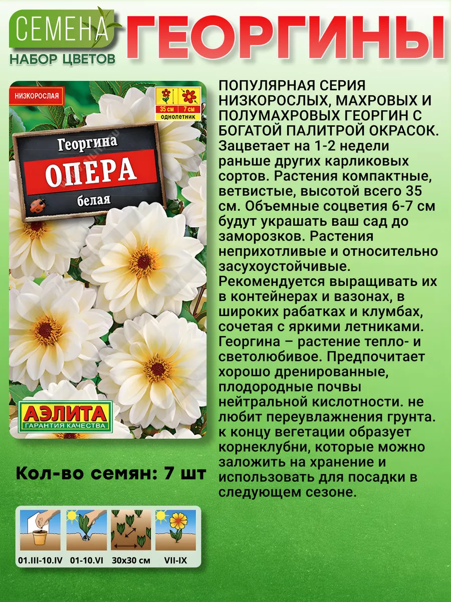 Георгины семена Агрофирма Аэлита 154839615 купить за 267 ₽ в  интернет-магазине Wildberries