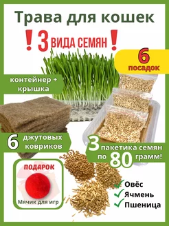 Трава для кошек. Набор для выращивания травы 3 вида семян GreenFood 154858965 купить за 181 ₽ в интернет-магазине Wildberries