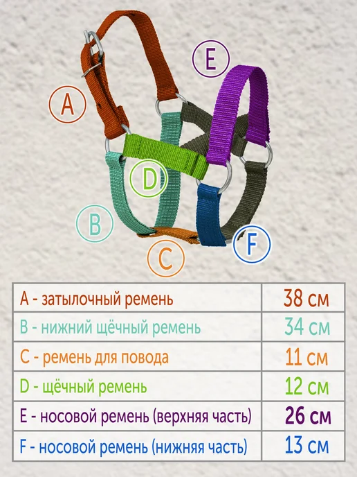 REITER Недоуздок для жеребят 25 мм, бежевый, фото 2