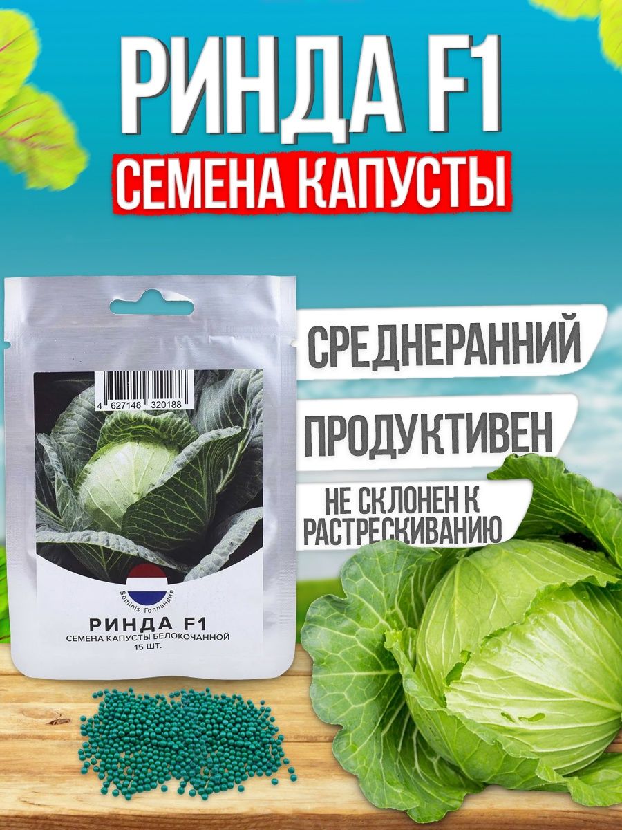 Капуста ринда f1 описание сорта отзывы. Ринда капуста описание. Капуста Ринда f1 описание сорта фото отзывы. Капуста Ринда описание сорта фото отзывы садоводов.