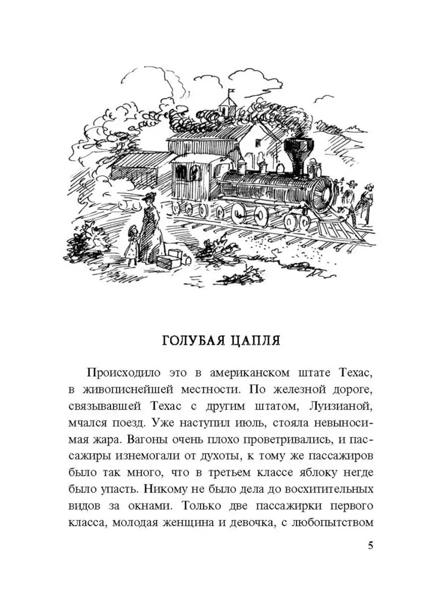 Леди Джейн, или Голубая цапля Энас-Книга 154935536 купить за 460 ₽ в  интернет-магазине Wildberries