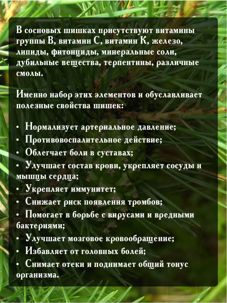 Вздутые вены на половом члене: причины, диагностика, лечение