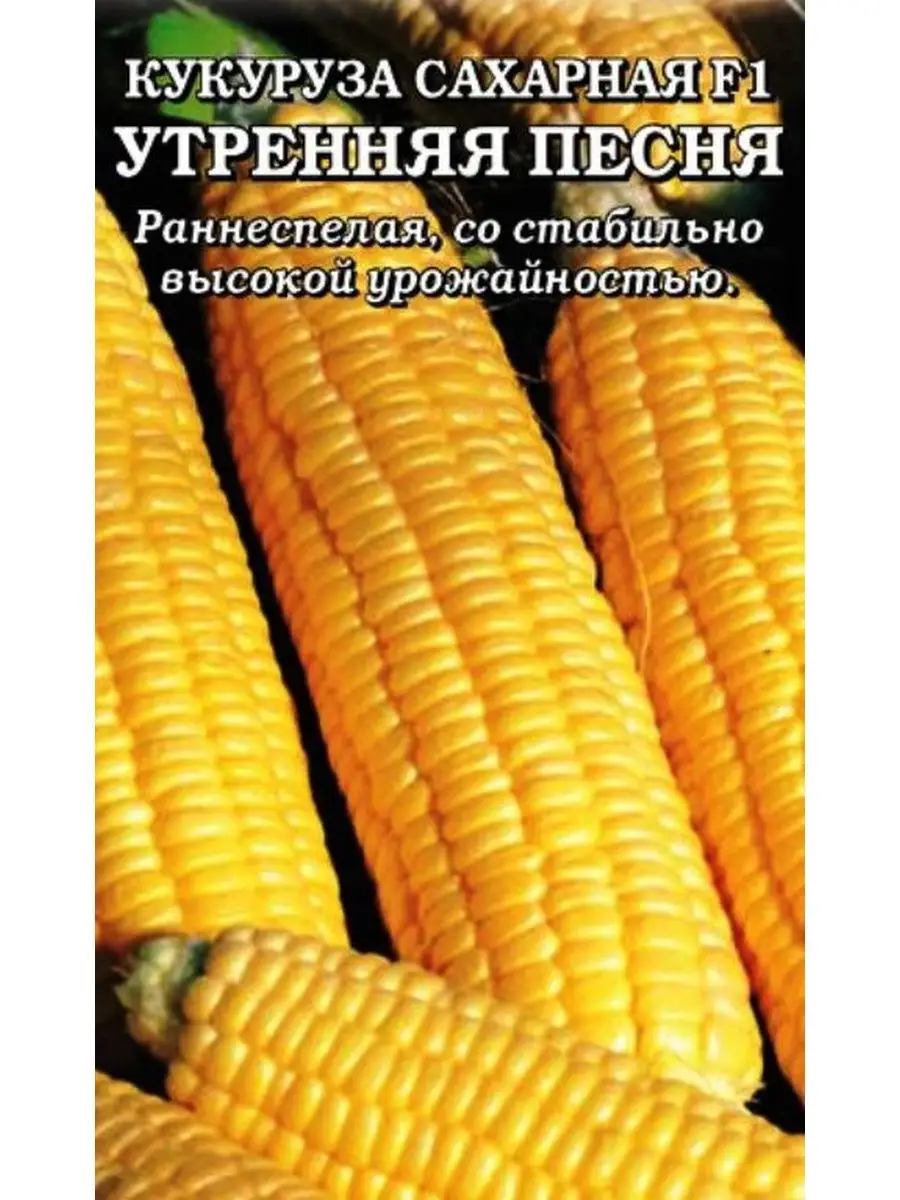 Семена гавриш заморозь! кукуруза сахарная утренняя песня 5 г. Семена кукуруза сахарная красотка f1. Кукуруза сахарная гамма f1 седек. Сахарная кукуруза. Кукурузного утра.