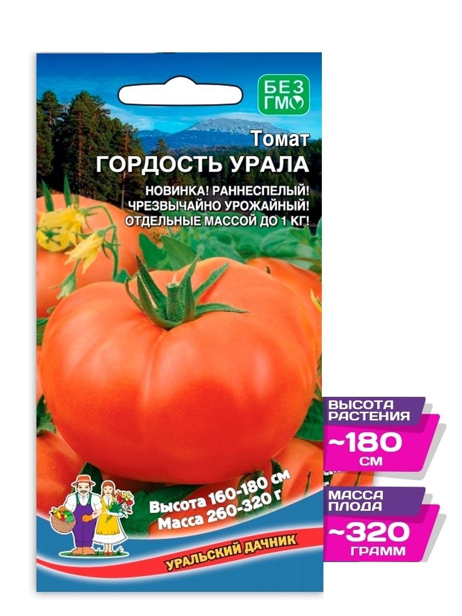 Томат гордость сибири фото описание. Уральский Дачник семена томатов. Томат русский деликатес. Томат гордость Урала. Помидоры для Урала.