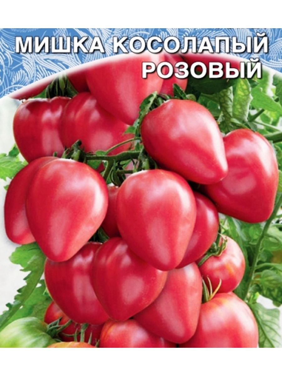 Мишка косолапый томат отзывы описание сорта. Мишка косолапый сорт помидор. Помидоры Уральский Дачник мишка косолапый. Томат мишка косолапый розовый Уральский Дачник. Томат мишка косолапый Уральский Дачник.