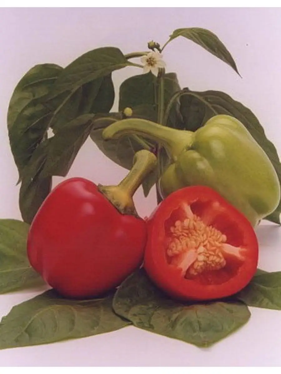 Перец сладкий яркая радуга. Перец семена коллекционные. Перец семена коллекционные. Перец сладкий ребристой формы плода. Перец сатурн.