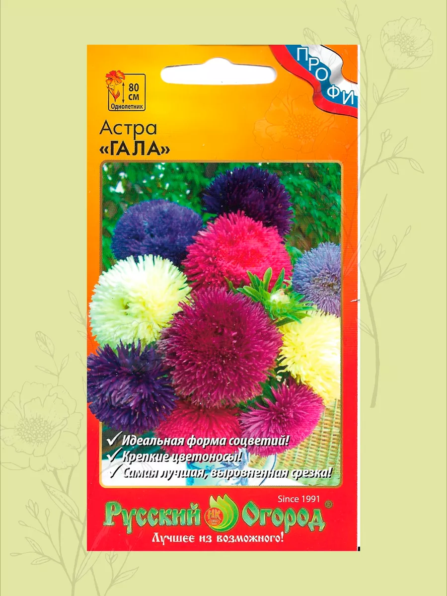 Семена астры Гала