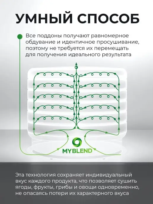 Ezidri FD500 Digital (5 поддонов,5 сеток и 5 листов для пастилы), FD500 Digital 5 поддонов, фото 3