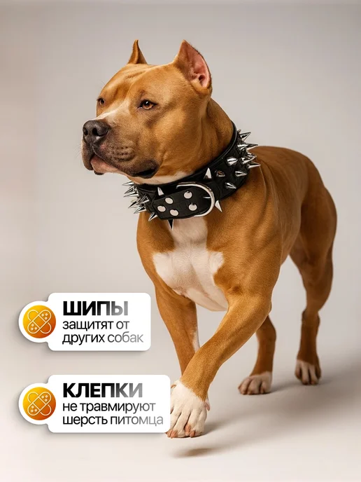 Doggy&Dog Shop Ошейник для собак кожаный, вариант, фото 4