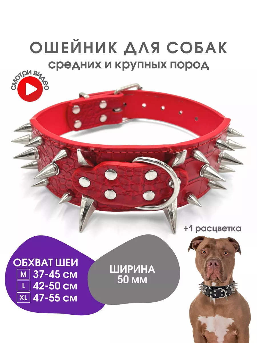 Ошейник для собак средних и крупных пород с шипами Doggy&Dog Shop 155146620  купить за 699 ₽ в интернет-магазине Wildberries