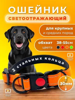 Ошейник для собак крупных и средних пород Doggy&Dog Shop 155148227 купить за 449 ₽ в интернет-магазине Wildberries