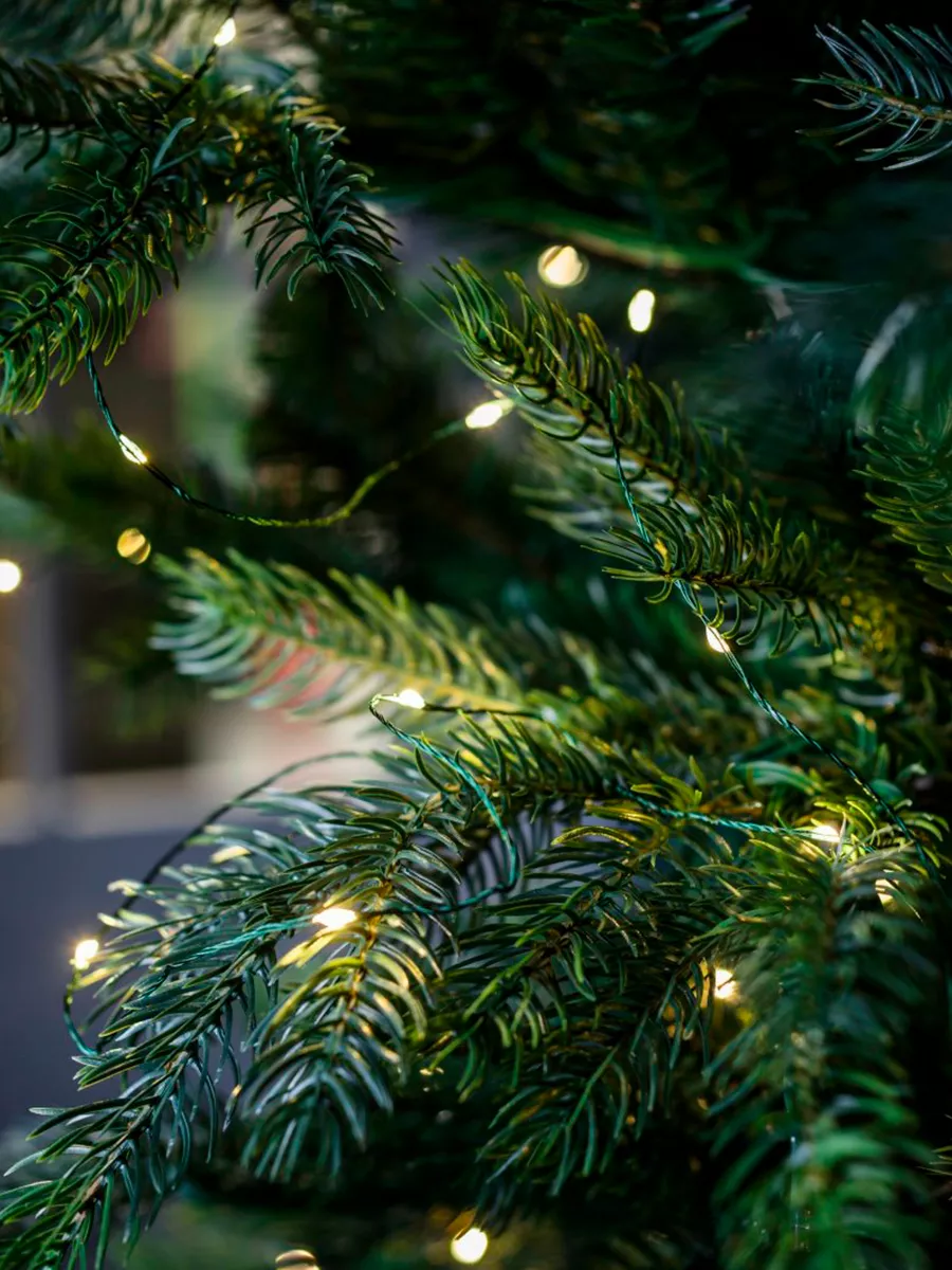 100 метров росы на какую елку. гирлянда на елку. елка с голубой гирляндой. красрыя новогодняя елка. конский хвост роса.