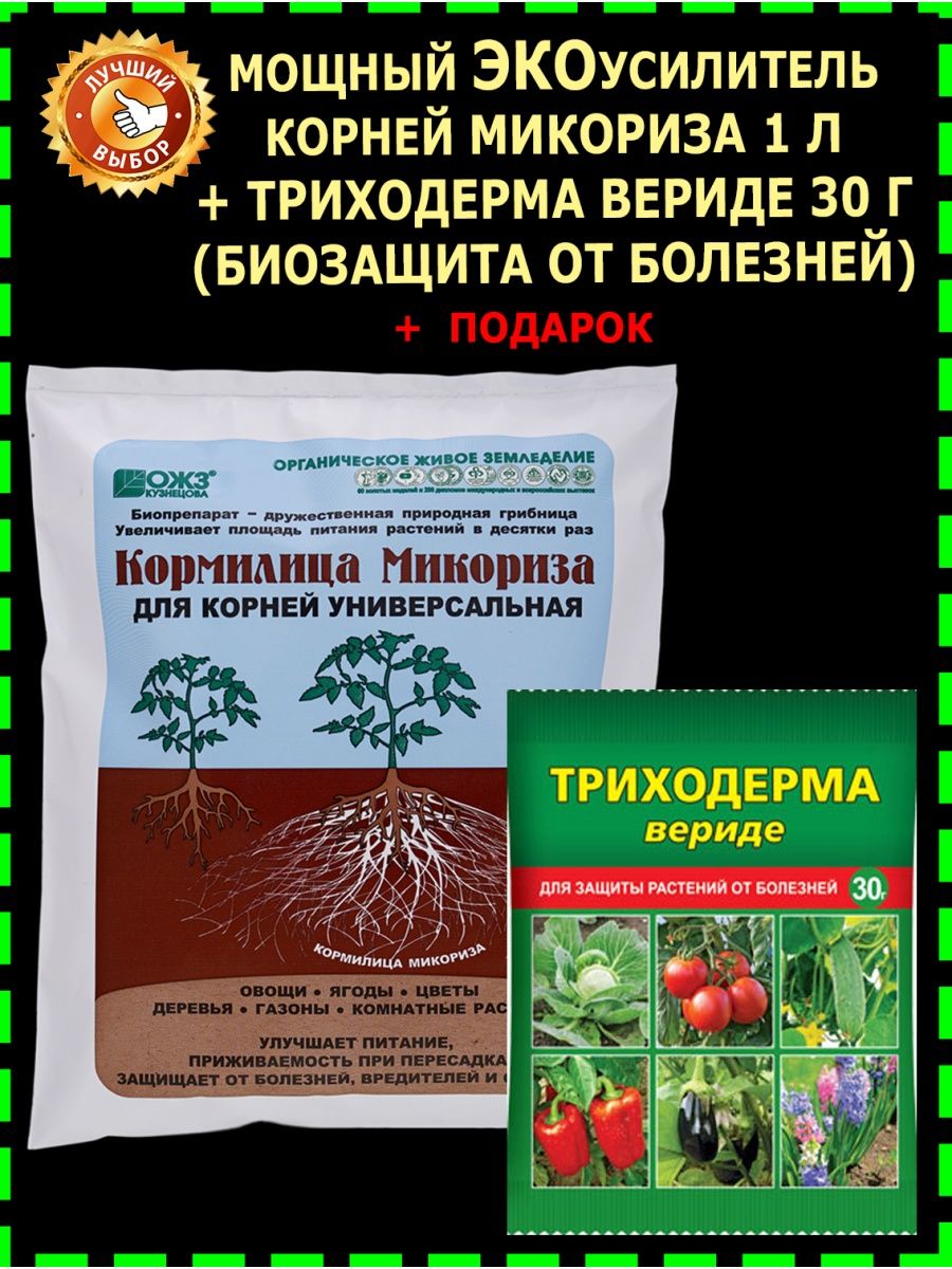 Микориза применение для рассады. Микориза удобрение. Микориза для рассады. Микориза для растений. Микориза для комнатных растений.