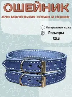 Ошейник для собак мелких пород dog quince 155282021 купить за 331 ₽ в интернет-магазине Wildberries