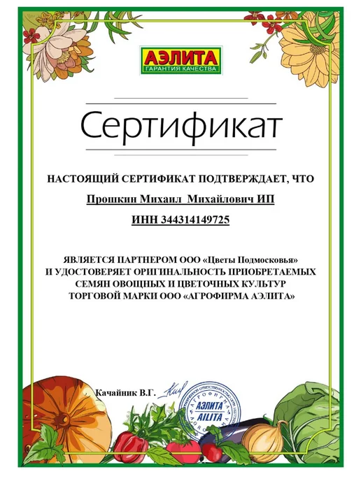 Агрофирма АЭЛИТА Семена салата листового для открытого грунта, зеленый, фото 2