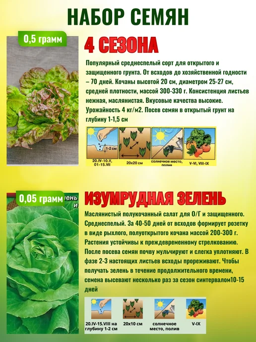 Агрофирма АЭЛИТА Семена салата листового для открытого грунта, зеленый, фото 3