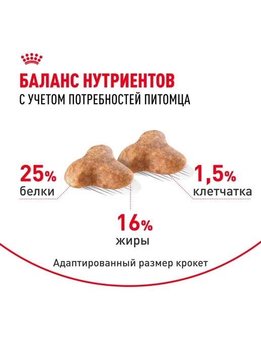 Сухой корм Royal canin Pug Мопсов для собак, взрослые, 1,5 кг, фото 4