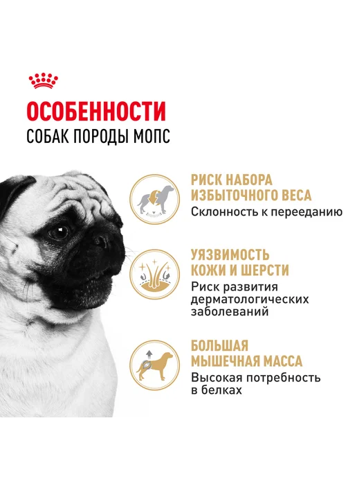 Сухой корм Royal canin Pug Мопсов для собак, взрослые, 1,5 кг, фото 6