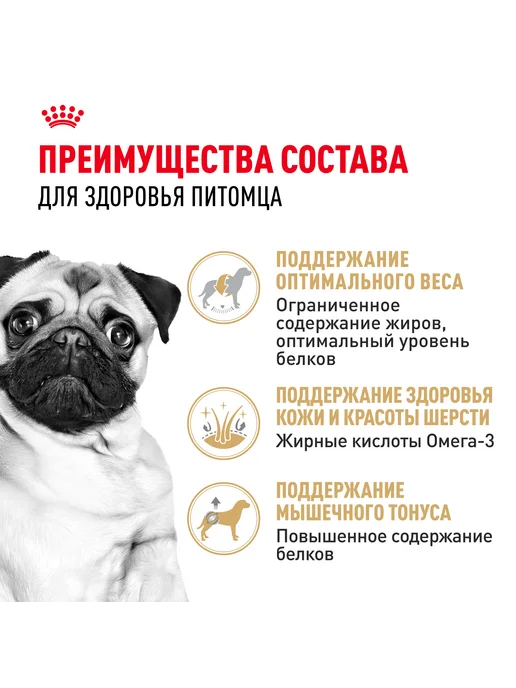 Сухой корм Royal canin Pug Мопсов для собак, взрослые, 1,5 кг, фото 7