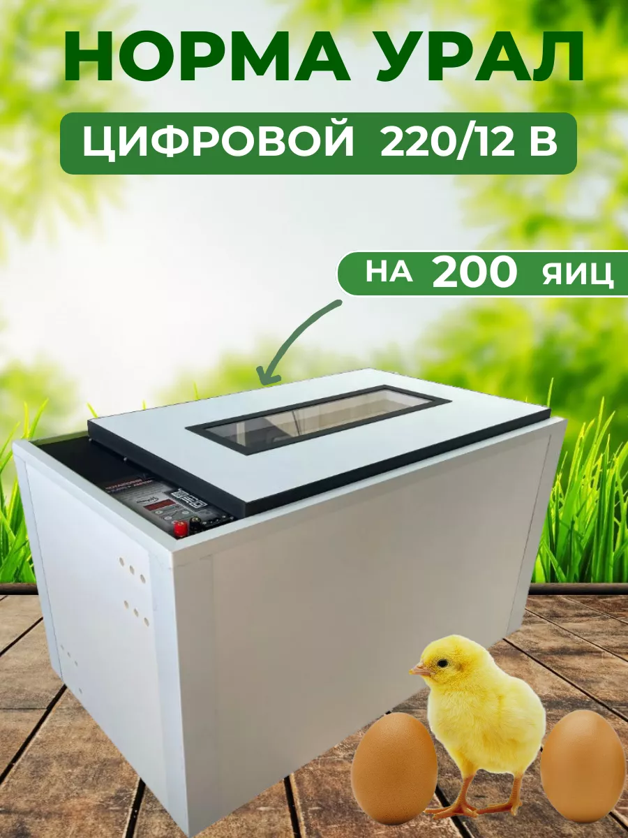 Инкубатор для яиц Норма Урал на 200яиц Подворье 155329899 купить за 27 902  ₽ в интернет-магазине Wildberries