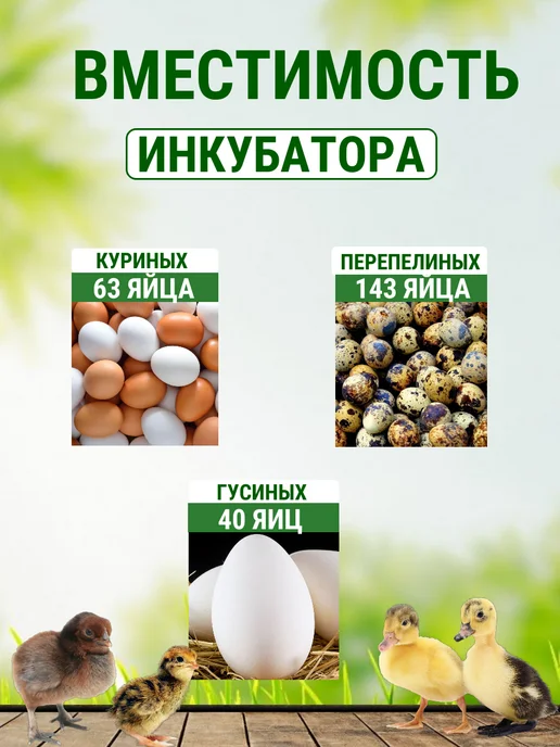 Подворье Инкубатор Несушка на 63 яйца автоматический, белый, фото 2